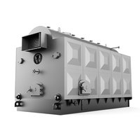 Tubo de agua horizontal bajo de caldera de vapor DZL de 1 tonelada de diseño profesional para uso Industrial para pellets de biomasa biológica de astillas de madera de carbón