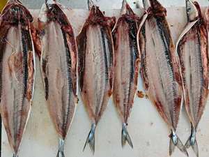 أسماك يابانية للبيع ، سمك الصوري البحري المجمد في المحيط الهادئ #3 - Product Image 5