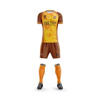 Ensemble de maillots de football unisexes en gros, uniforme d'entraînement respirant en polyester avec shorts et chaussettes, personnalisable pour équipe de football