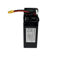 Batterie LiPo à État Solide Haute Densité Énergétique 12S 44.4V 33000mAh Légère Longue Autonomie Source d'Alimentation pour Drones Professionnels