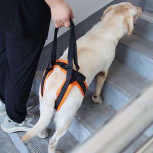 สายรัดขาสัตว์เลี้ยงสำหรับจูงสุนัข-สายรัดป้องกันขาหลังสำหรับผู้พิการหรือบาดเจ็บ-สายรัดช่วยเหลือสุนัขสูงอายุ - Product Image 2