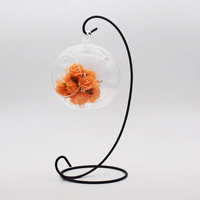 Boule de verre transparente ronde suspendue faite à la main en usine Vase de terrarium boule de terrarium ronde suspendue en verre clair