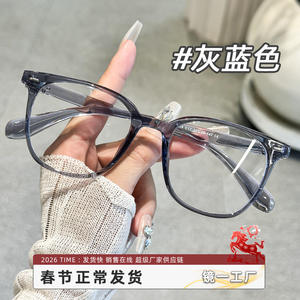 Lunettes de vue rondes Danyang TR90 pour hommes, légères, montures en plastique 9045 - Product Image 5