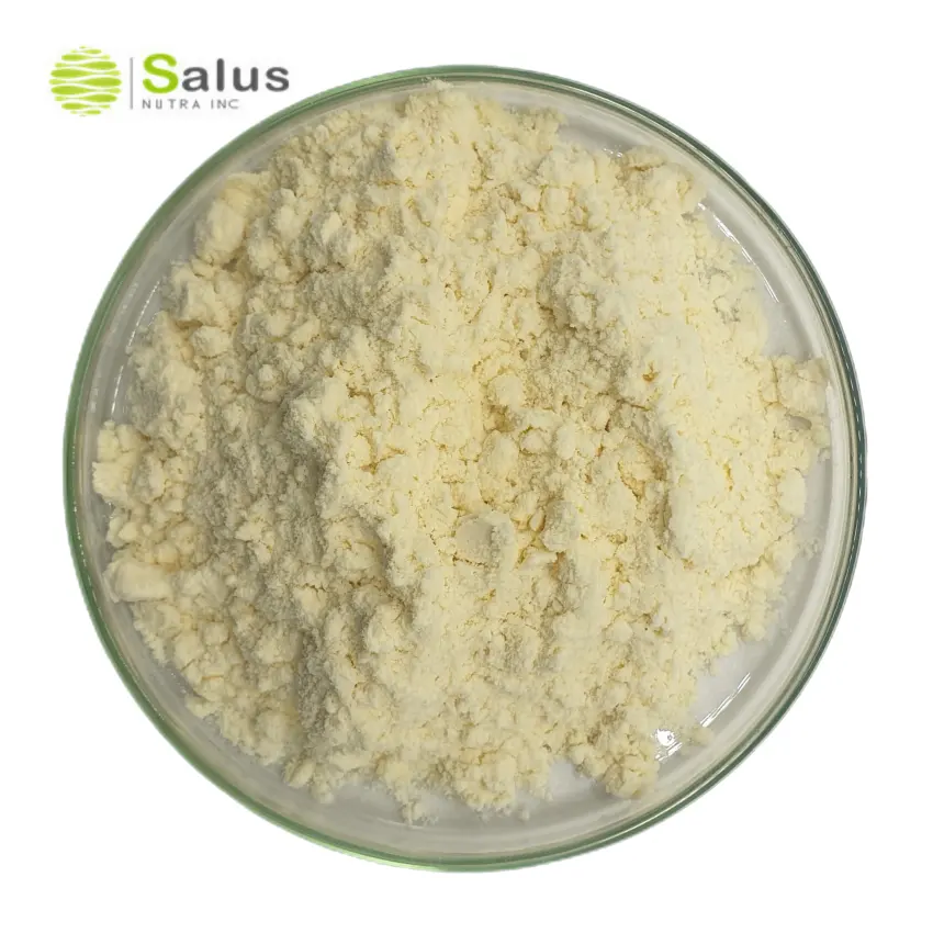 SALUS Wholesale 20000U/g Amylase Enzyme