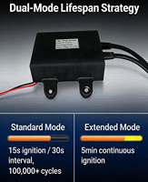 Module d'allumage haute tension 20KV 36W TW-G-QC01 24V pour chauffage de stationnement diesel et camion