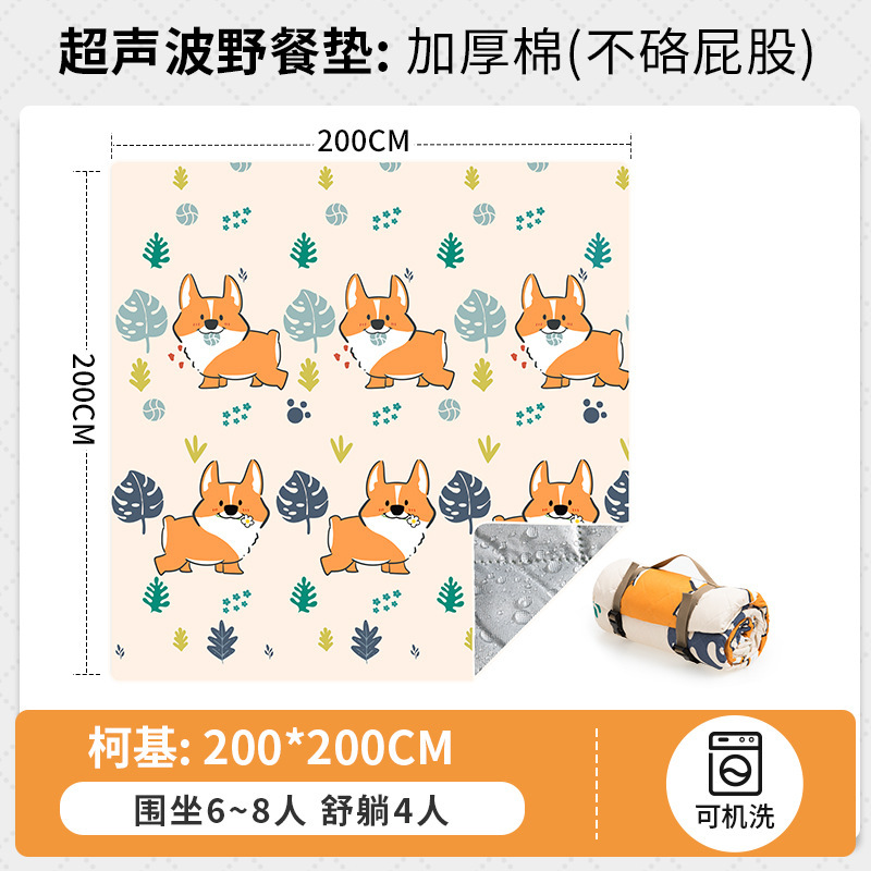 200 Corgis