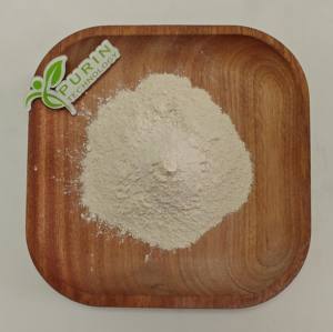 Beste Prijs Kopen Probiotica Bacillus Lateralis Poeder Feed Grade Bacillus Lateralis - Product Image 2