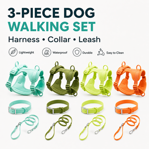 Harnais et laisse ajustables et imperméables pour chien et chat, avec boucle personnalisée, confortables, toutes saisons, en PVC. - Product Image 6