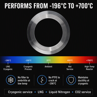 Joint torique métallique cryogénique SS304 SS316L -196°C pour service GNL NACE MR0175, ovale, octogonal, ASME B16.20, dessin personnalisé, OEM