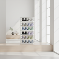 Armoire à chaussures pliable en plastique à 6 niveaux, facile à assembler, avec porte transparente, rangement domestique, écologique et durable