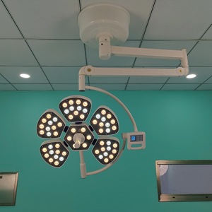 Lampe chirurgicale sans ombre à double tête en forme de pétale, source de lumière froide LED 150W pour examen buccal des animaux, certifiée CE - Product Image 1