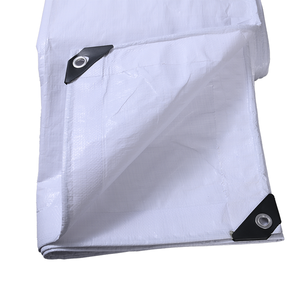 Bâche PE plastique jardin voile bateau auvent étanche pour camion maison tente couverture piscine <span class=keywords><strong>Protection</strong></span> solaire bâche - Product Image 5