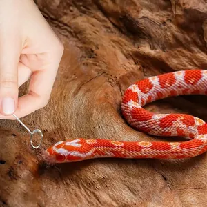 Satu Set prob reptil profesional, dengan ujung bola bulat detektor identifikasi jenis kelamin ular reptil multifungsi - Product Image 3