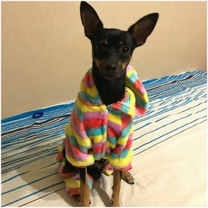 Mono cálido de lana de invierno para perros pequeños, ropa de cachorro con estampado bonito, <span class=keywords><strong>disfraz</strong></span> para Chihuahua Yorkshire Terrier, pijamas para gatitos - Product Image 5