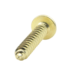 100 pièces/sac Vis autotaraudeuses ultra-minces à tête plate en acier inoxydable 304 plaqué or M2 M2.3 M2.6 M3 M3.5 M4 M5 M6 - Product Image 4