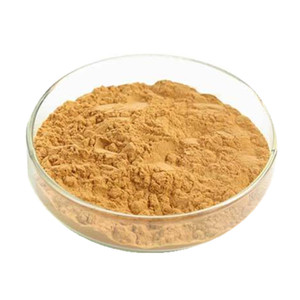 Arco-íris Fornecimento de alta qualidade Natureza <span class=keywords><strong>Olive</strong></span> Folha <span class=keywords><strong>Extract</strong></span>/<span class=keywords><strong>Olive</strong></span> Folha <span class=keywords><strong>Extract</strong></span> <span class=keywords><strong>Hydroxytyrosol</strong></span>/ Oleuropein 20% 40% - Product Image 4