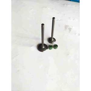 Válvulas de Motor Usadas para Motocicleta Todoterreno Yinxiang 150, Válvulas de Admisión y Escape, Válvulas de Culata, Sellos de Aceite - YX150 - Product Image 1