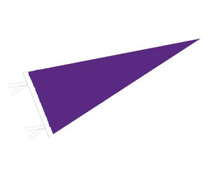Custom Felt Pennants <strong>Flag</strong> Wholesale Custom <strong>Triangle</strong> Felt Pennants <strong>Flag</strong> for Promotional Display. - Product Image 2