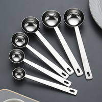 304SUS Métal Long Manche 5ml 10ml 20ml Café Scoop Échelle Cuillère Maison Cuisine Outil De Mesure Cuillère À Café