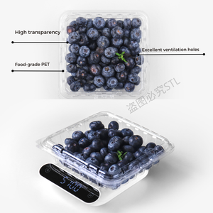 Caixa de Embalagem para Frutas Frescas Personalizada de Fábrica a Preço Acessível, Caixa Clamshell, Recipiente de Plástico para Mirtilos - Product Image 4