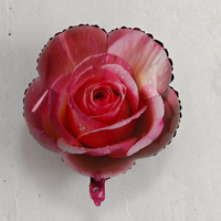 Ballons de fleurs de camélia et de rose élégants de conception originale personnalisés CYmylar pour la fête prénuptiale, le mariage, la Saint-Valentin