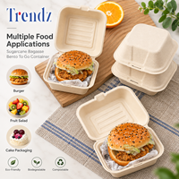 Trendz Jetable Écologique Bento to Go Conteneur Alimentaire Salade De Fruits Hamburger Gâteau Emballage Canne À Sucre Bagasse Boîte À Lunch