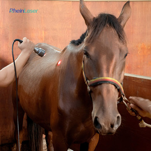 Multi-Wellenlänge Klasse 4 Laser therapie gerät Smart ICE für Haustiere Muskels ch merzen und Rehabilitation - Product Image 3