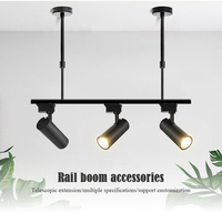 Projecteur sur Rail Commercial COB 20W 30W Spots Linéaires à LED pour Système sur Rail