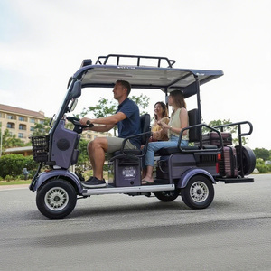 Quadricycle électrique HLD Zero Pollution pour hôtels et complexes hôteliers, disponible en plusieurs couleurs avec <span class=keywords><strong>pare</strong></span>-<span class=keywords><strong>brise</strong></span>, type voiturette de golf - Product Image 3