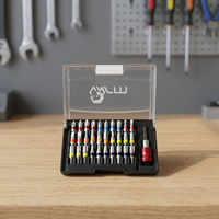 Ensemble de 31 embouts de coloration chromés de haute qualité 1/4" x 25 mm avec étui rigide OEM
