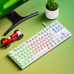 Oem/ODM tùy chỉnh 87-Key im lặng chơi game cơ khí Bàn Phím Bán buôn 60% đa chức năng thể thao điện tử bàn phím - Product Image 1