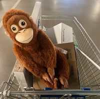 Jouet Singe Punch Monkey en Peluche Personnalisé à Bras Longs, Vente Chaude, Direct Usine