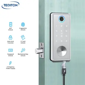 Hot Selling Automatic Electronic Biometric Fingerprint Keyless Türschloss für Office Home