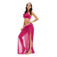 Carnaval Cosplay arabe princesse Costume femmes Sexy dos nu maille robe de danse du ventre