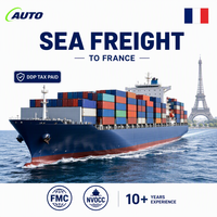 Service de fret maritime efficace de Guangdong vers la France, agent de fret DDP, expédition porte à porte