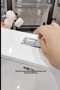 A809 Material <span class=keywords><strong>de</strong></span> PP puro grueso Galvanizado Botón <span class=keywords><strong>de</strong></span> doble descarga Fuerte elasticidad Ahorro <span class=keywords><strong>de</strong></span> energía Tanque <span class=keywords><strong>de</strong></span> inodoro montado en la pared - Product Image 4