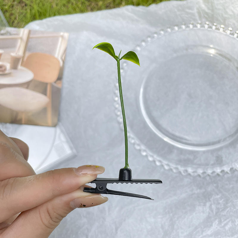 1 # petites pousses de haricots