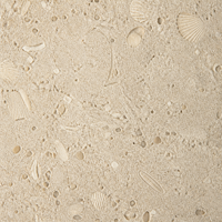 Dalle en pierre frittée beige Portland grand format 1200x2800mm avec traces fossiles pour mur, sol et plan de travail