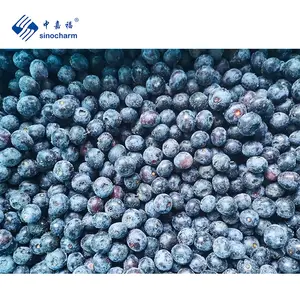 100% Berbudaya Liar Alami Organik Massal IQF Blueberry Beku IQF