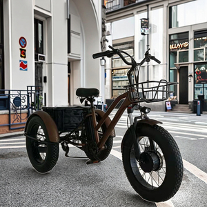CAICHI 20 pollici veicolo <span class=keywords><strong>a</strong></span> <span class=keywords><strong>3</strong></span> <span class=keywords><strong>ruote</strong></span> con corpo aperto consegna elettrica bicicletta 36V/13Ah batteria al litio 350W motore tricicli elettrici - Product Image 2