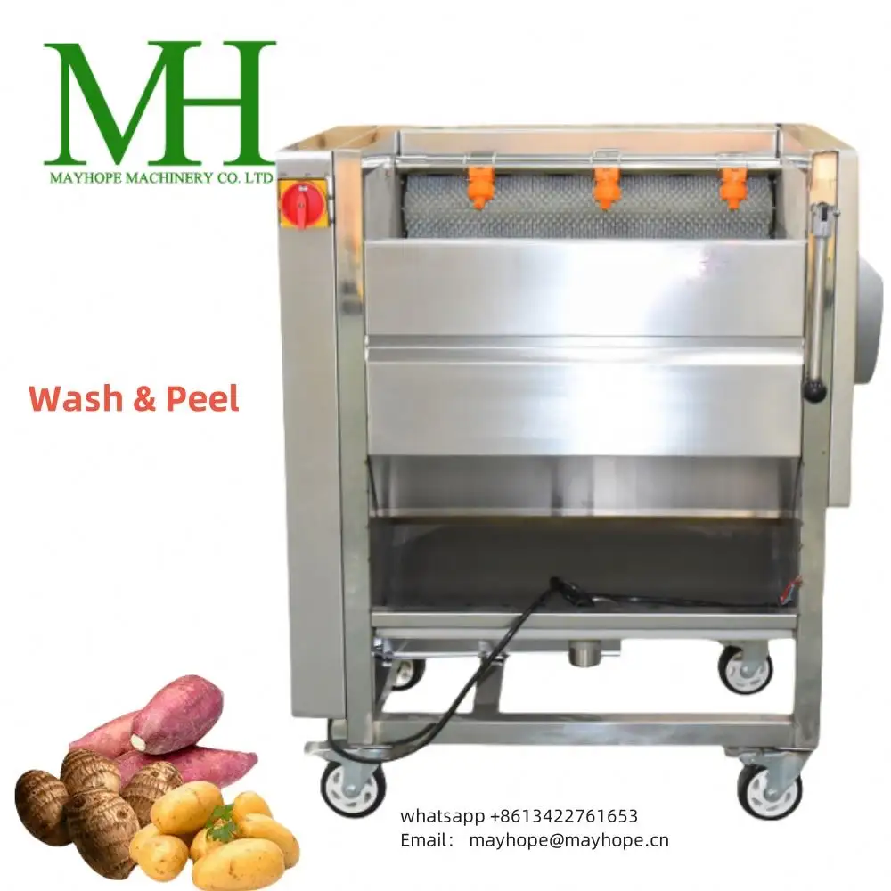 Laveuse et éplucheuse de légumes de grand type machine à éplucher carotte pomme de terre radis taro igname manioc