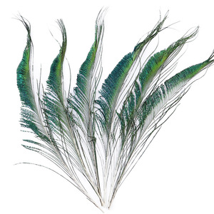 Lunghezza 30-35 cm <span class=keywords><strong>piume</strong></span> di <span class=keywords><strong>pavone</strong></span> naturale <span class=keywords><strong>piume</strong></span> verdi spada per l'organizzazione di fiori accessorio fai da te decorazione della casa articoli d'arte - Product Image 2