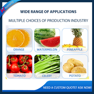 Pemeras Jus Komersial Cold Press Slow Masticating Hasil Tinggi Mudah Dibersihkan untuk Restoran, Bar Jus, Hotel, AS, Inggris, Kanada - Product Image 4