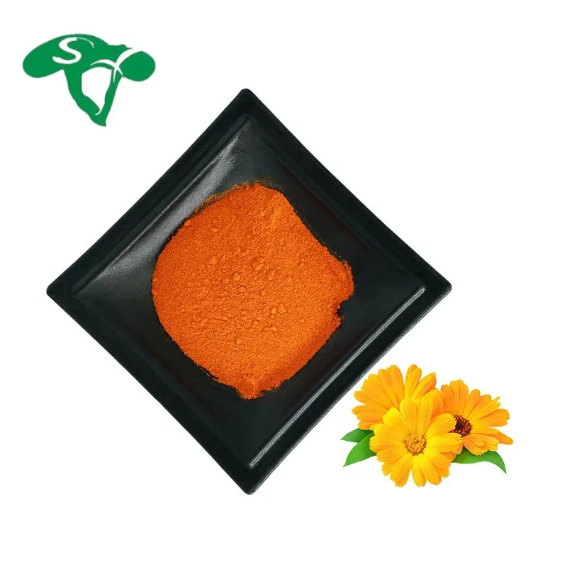 Ringelblume blüten extrakt in Lebensmittel qualität Natürliches Nährstoff-Lutein/Zeaxanthin-Pulver
