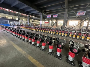 Highest Quality Gasoline <strong>Rammer</strong> <strong>Tamping</strong> <strong>Rammer</strong> Machine With Engine 5.5-6.5HP Power For Road Construction - Product Image 5