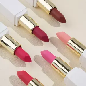 Grosir lipstik Vegan kualitas tinggi makeup Label pribadi 55 warna Matte lipstik Label pribadi lipstik merah muda