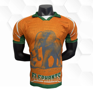 Оптовые футбольные формы африканских клубов, комплекты сборной Кот-д'Ивуара, футболки сборной Кот-д'Ивуара - Product Image 2