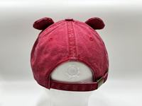 Casquettes de baseball brodées sur mesure de haute qualité pour hommes et femmes, pour la mode en plein air.