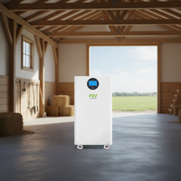 Pack de batteries LiFePO4 51,2 V 300 Ah, compact et puissant pour le stockage d'énergie solaire domestique