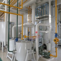 Ligne de raffinage automatique et continue 30TPD clé en main par pressage à froid et à chaud, contrôlée par PLC, pour huiles de palme, de noix et d'olive - Marque Dingsheng Long